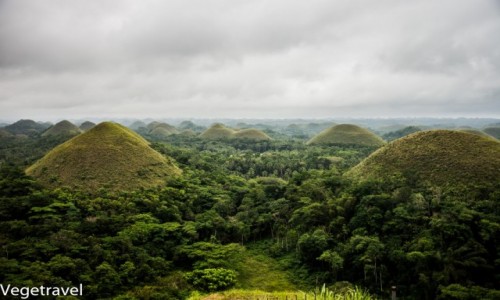 Zdjcie FILIPINY / Bohol / Chocolate hills / Czekoladowe wzgrza