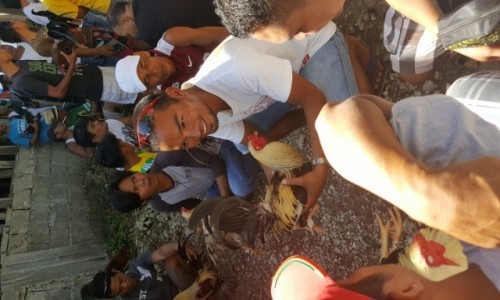 Zdjęcie FILIPINY / - / Wyspa Siquijor / Filipińskie walki kogutów