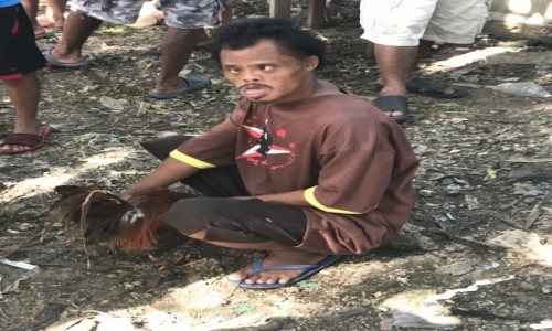 Zdjecie FILIPINY / - / Wyspa Siquijor / FIlipiski twarzowiec :)