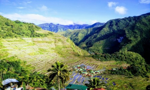 Zdjcie FILIPINY / Ifugao / Batad / Tarasy ryowe