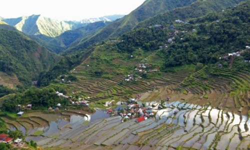 Zdjecie FILIPINY / Banaue / Batad / Tarasy ryowe - amfiteatr w Batad