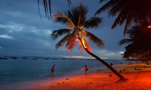 Zdjecie FILIPINY / Bohol / Bohol / Filipiny