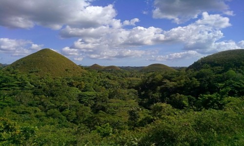 Zdjecie FILIPINY / Bohol / Bohol / Czekoladowe Wzgrza