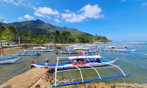 Zdjcie FILIPINY / Wyspa Palawan / . / Puerto Princesa