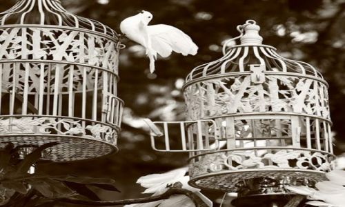 Zdjęcie FILIPINY / brak / LUZON/Manila / Klatki