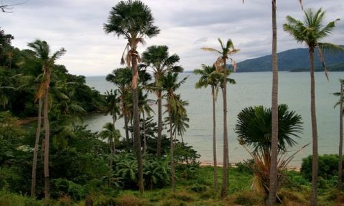 Zdjęcie FILIPINY / brak / Mindoro / Puerto Galera