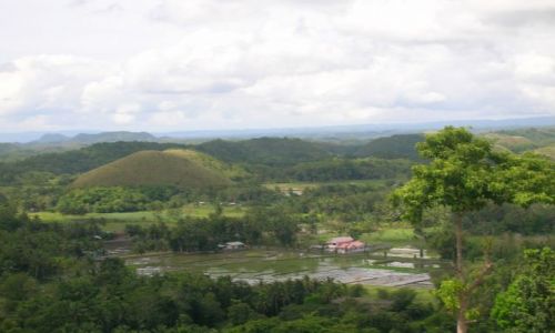 Zdjecie FILIPINY / Bohol / Chocolate Hills / Chocolate Hills