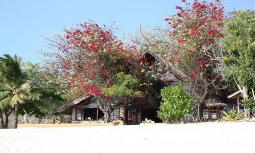 Zdjecie FILIPINY / Palawan / Dimakya / Filipiny - Dimakya