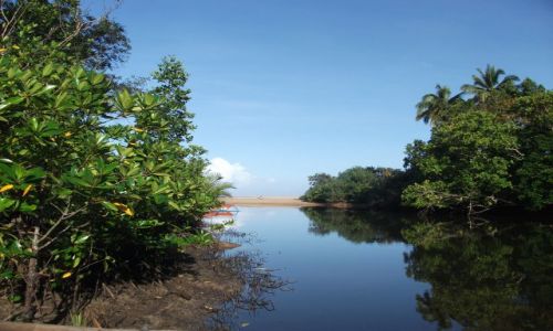 Zdjcie FILIPINY / Palawan / Sabang i okolice /  ... ujcie ...