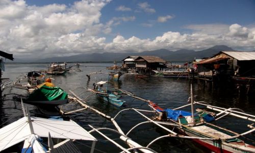 Zdjcie FILIPINY / Palawan / Puerto Pricesa / ... ycie na wodzie ...