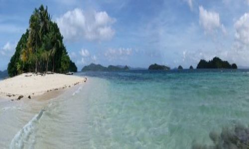 Zdjecie FILIPINY / Palawan / Port Barton, okolice / ... wyspa.... wiele wysp ....
