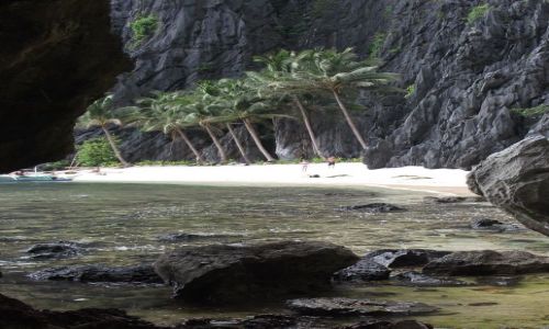 Zdjcie FILIPINY / Palawan / Miniloc Island / ... jedyny rzd? .... 