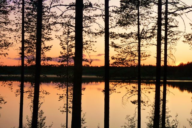 Zdjęcia: Inari Jezioro, Laponia, Inari przez kratki, FINLANDIA Zdjęcia: Inari Jezioro, Laponia, Inari przez kratki, FINLANDIA