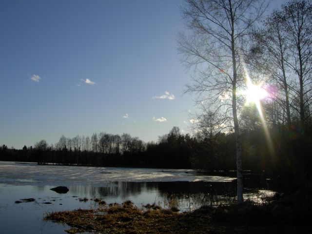 Zdjęcia: valkeakoski, południe kraju, jeziorko , FINLANDIA Zdjęcia: valkeakoski, południe kraju, jeziorko , FINLANDIA