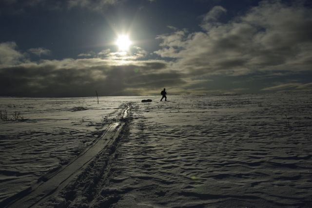 Zdjęcia: Finlandia i Norwegia, Laponia, kolory śniegu, FINLANDIA Zdjęcia: Finlandia i Norwegia, Laponia, kolory śniegu, FINLANDIA