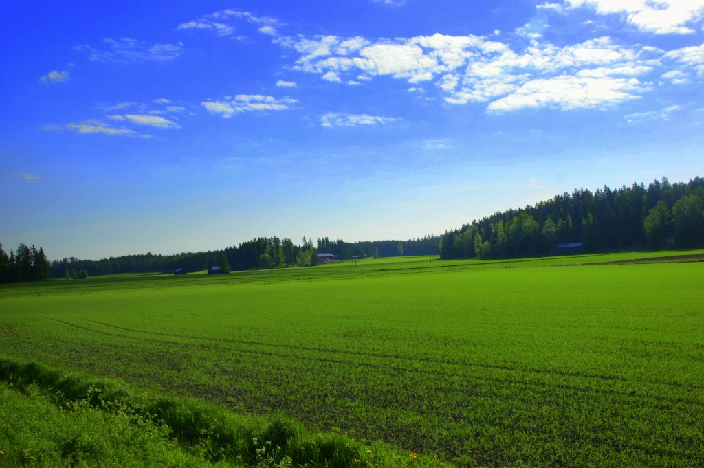 Zdjęcia: Finlandia, Finlandia, Finlandia, FINLANDIA Zdjęcia: Finlandia, Finlandia, Finlandia, FINLANDIA