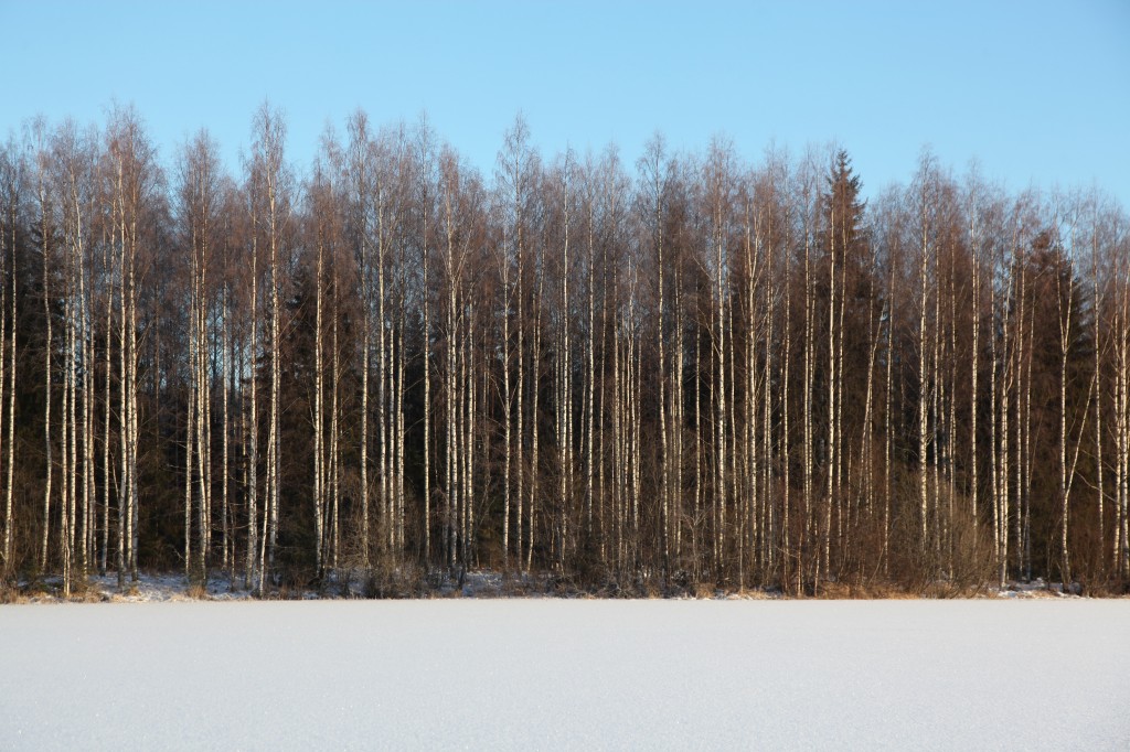 Zdjęcia: Kemi, Laponia, Nad jeziorem, FINLANDIA Zdjęcia: Kemi, Laponia, Nad jeziorem, FINLANDIA