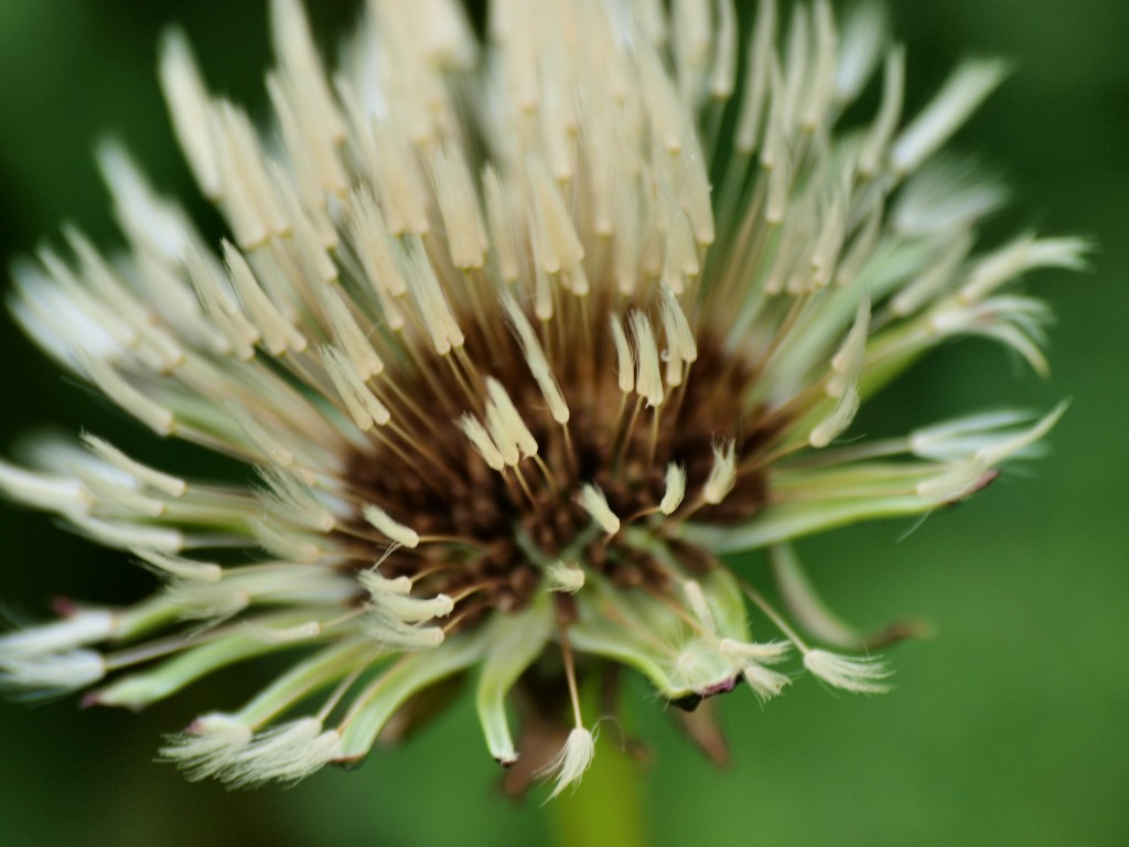 Zdjęcia: Laponia, czekając na wiatr, FINLANDIA Zdjęcia: Laponia, czekając na wiatr, FINLANDIA