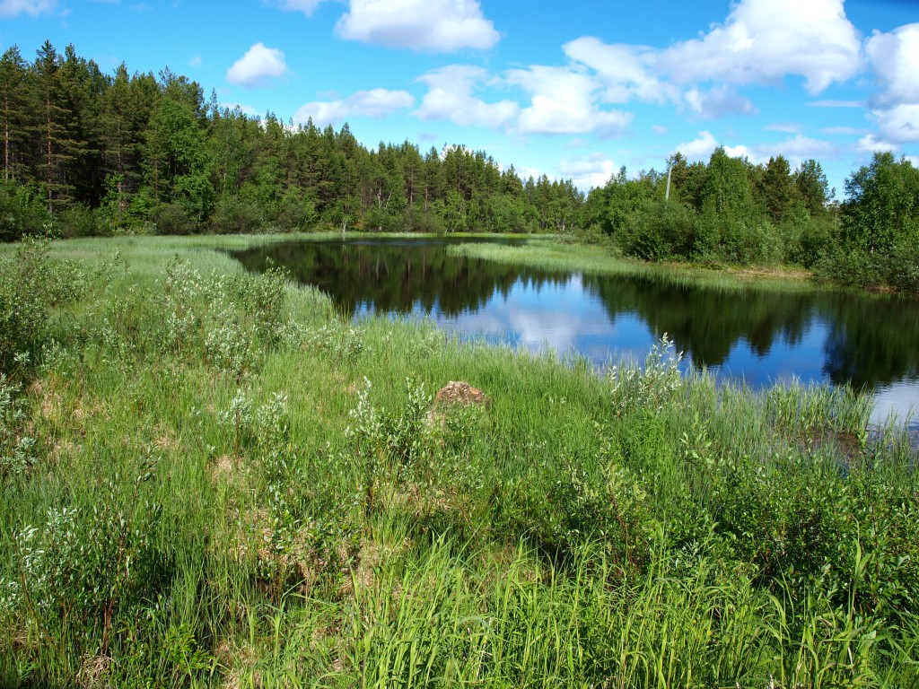Zdjęcia: Inari, Laponia, jezioro Inari, FINLANDIA Zdjęcia: Inari, Laponia, jezioro Inari, FINLANDIA