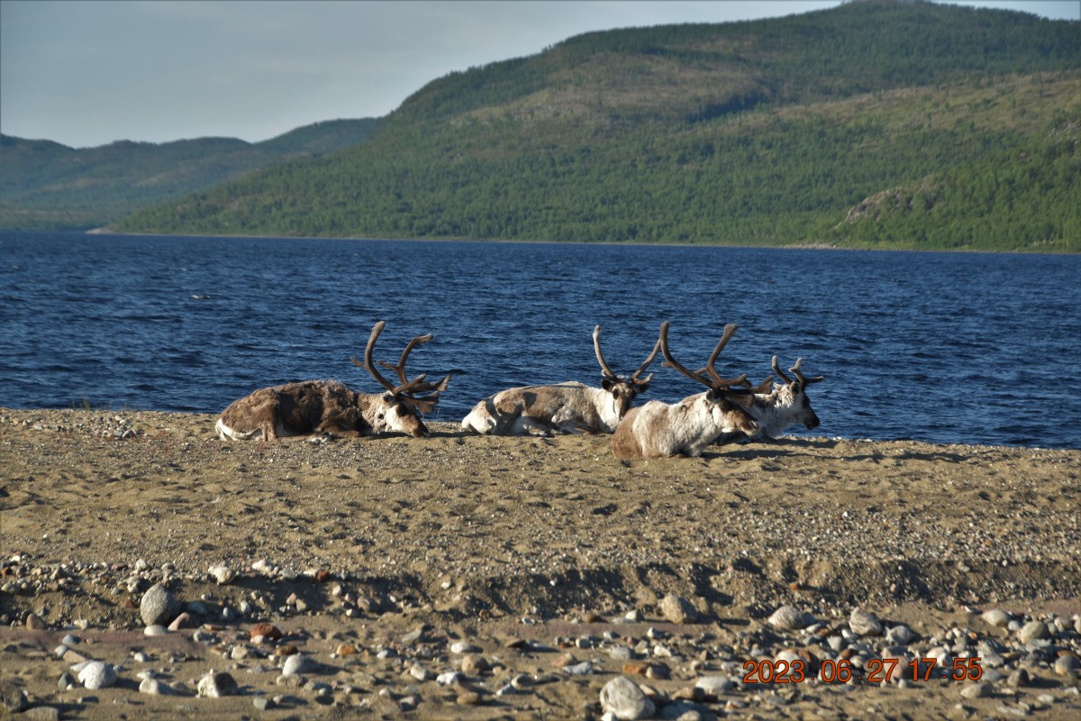 Zdjęcia: Nuorgam, Utsjoki, Popołudniowy relaks..., FINLANDIA Zdjęcia: Nuorgam, Utsjoki, Popołudniowy relaks..., FINLANDIA