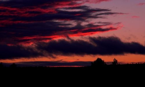 Zdjecie FINLANDIA / Laponia / Rovaniemi / Niebo ponie