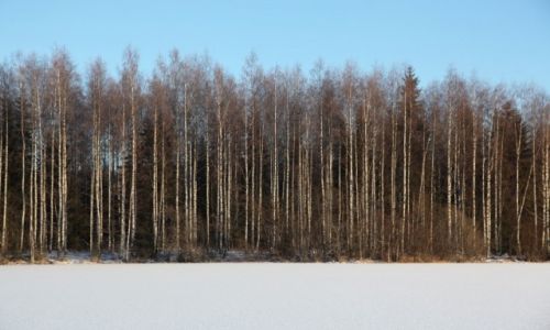 Zdjcie FINLANDIA / Laponia / Kemi / Nad jeziorem