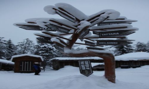 Zdjcie FINLANDIA / Laponia / Rovaniemi, Husky park / Jak daleko std, jak blisko