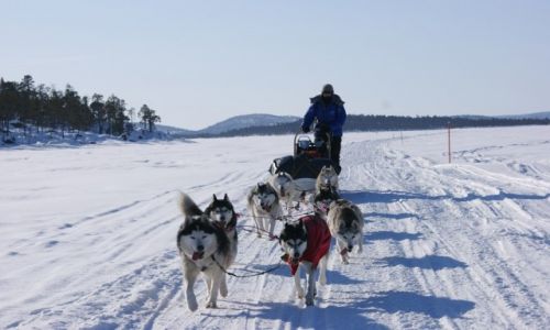 Zdjecie FINLANDIA / --- / --- / Laponia2015