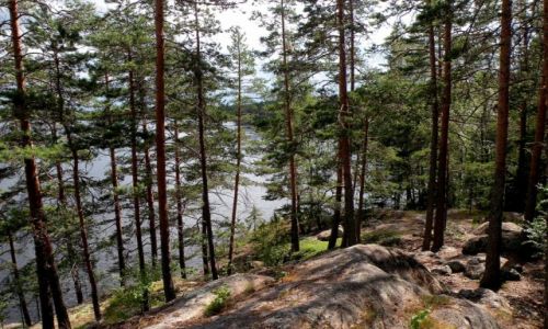Zdj�cie FINLANDIA / po�udnie /  jaki� park krajobrazowy / Na szlaku