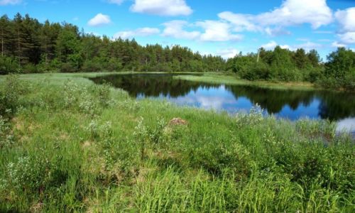 Zdjcie FINLANDIA / Laponia / Inari / jezioro Inari