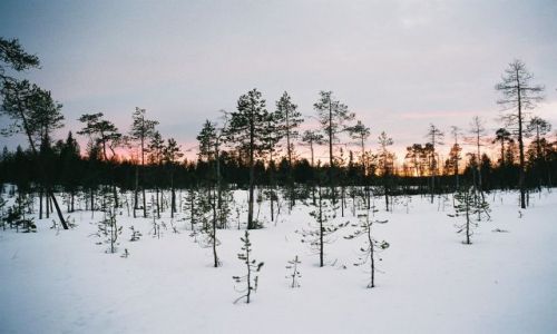 Zdjcie FINLANDIA / LAPLAND / SRODKOWY LAPLAND / FISKI KRAJOBRAZ