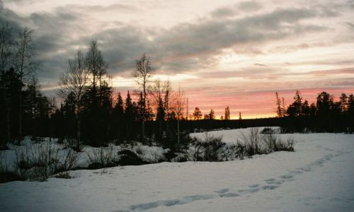 Zdjcie FINLANDIA / LAPLAND / SRODKOWY LAPLAND / FISKI KRAJOBRAZ