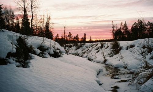 Zdjcie FINLANDIA / LAPLAND / SRODKOWY LAPLAND / FISKI KRAJOBRAZ