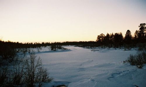 Zdjcie FINLANDIA / LAPLAND / PӣNOCNY LAPLAND / FISKIE KLIMATY