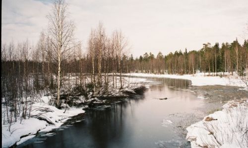 Zdjcie FINLANDIA / LAPLAND / PӣNOCNY LAPLAND / FISKIE KLIMATY