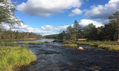 Zdjcie FINLANDIA / Lapland / Finland  / Urho Kekkonen Park Narodowy 