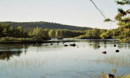 Zdjcie FINLANDIA / brak / Inari / Juutvanjoki