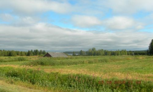 Zdjęcie FINLANDIA / brak / okolice Rovaniemi / W drodze do Mikołaja