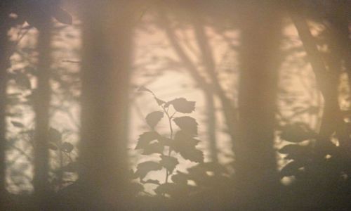 Zdjęcie FINLANDIA / Laponia / way / przez mgłę