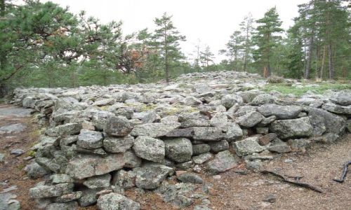 Zdjecie FINLANDIA / Satakunta / Sammalahdenmaki / Sammalahdenmaki