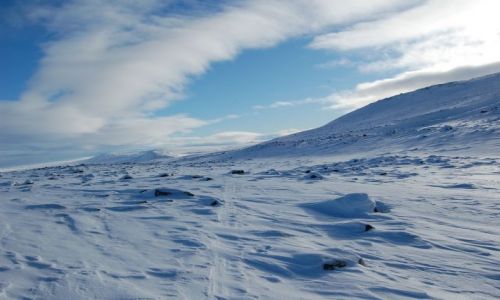 Zdjecie FINLANDIA / Laponia / Finlandia i Norwegia / Nieziemska Laponia na nartach biegowych