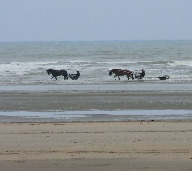 Zdjęcia: Plaże w Normadii dzisiaj, Normadia, PLAŻA W NORMANDII, FRANCJA Zdjęcia: Plaże w Normadii dzisiaj, Normadia, PLAŻA W NORMANDII, FRANCJA