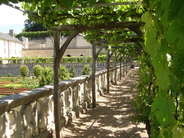 Zdjęcia: Villandry, Środkowa Francja, Zamki nad Loarą, FRANCJA Zdjęcia: Villandry, Środkowa Francja, Zamki nad Loarą, FRANCJA