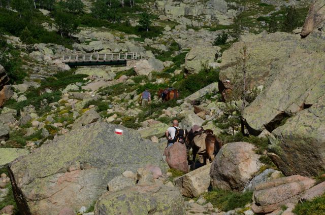 Zdjęcia: Ciotullu-Manganu, Korsyka, Na szlaku_6_2, FRANCJA Zdjęcia: Ciotullu-Manganu, Korsyka, Na szlaku_6_2, FRANCJA