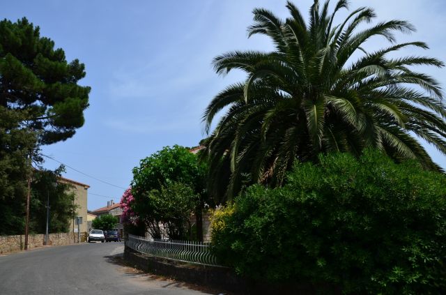 Zdjęcia: Paliri-Conca, Korsyka, Na szlaku_14_5, FRANCJA Zdjęcia: Paliri-Conca, Korsyka, Na szlaku_14_5, FRANCJA