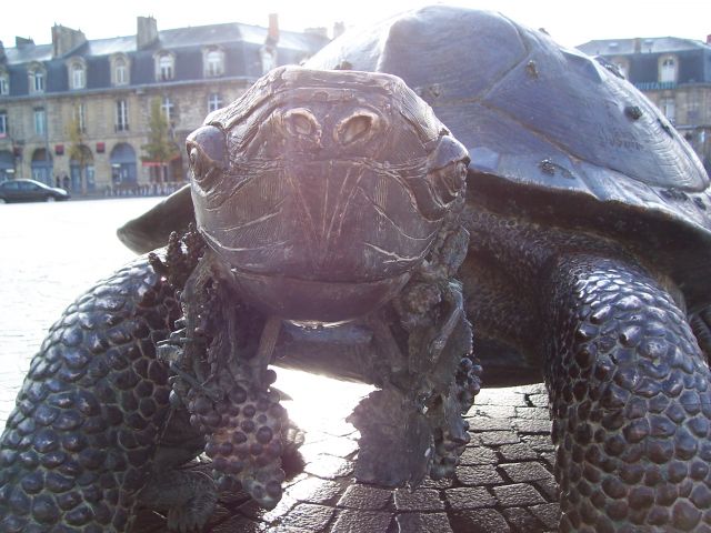 Zdjęcia: Bordeaux / Place de la Victoire, Akwitania, Żółwie spojrzenie, FRANCJA Zdjęcia: Bordeaux / Place de la Victoire, Akwitania, Żółwie spojrzenie, FRANCJA