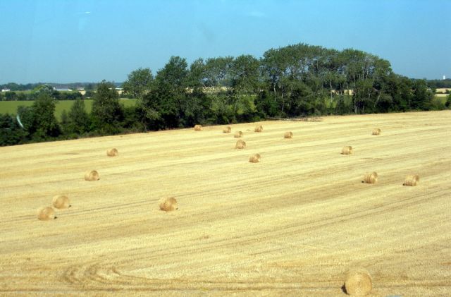 Zdjęcia: południowy wschód Francji, i po żniwach, FRANCJA Zdjęcia: południowy wschód Francji, i po żniwach, FRANCJA