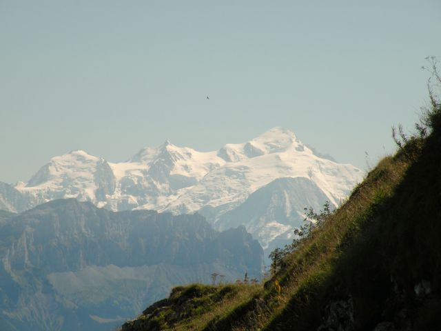 Zdjęcia: Môle, Savoie, Moje wedrowanie, FRANCJA Zdjęcia: Môle, Savoie, Moje wedrowanie, FRANCJA