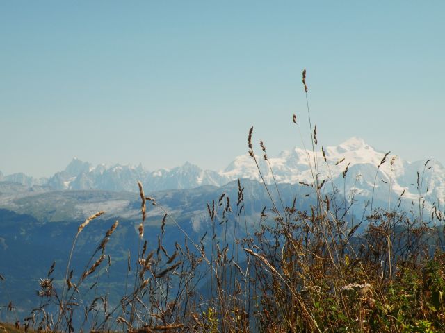 Zdjęcia: Môle, Savoie, Moje wedrowanie, FRANCJA Zdjęcia: Môle, Savoie, Moje wedrowanie, FRANCJA