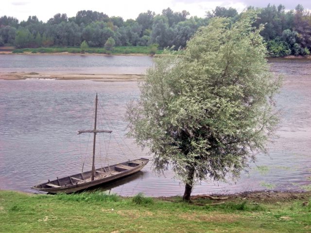 Zdjęcia: Loara, Burgundia, Poranek nad Loarą, FRANCJA Zdjęcia: Loara, Burgundia, Poranek nad Loarą, FRANCJA